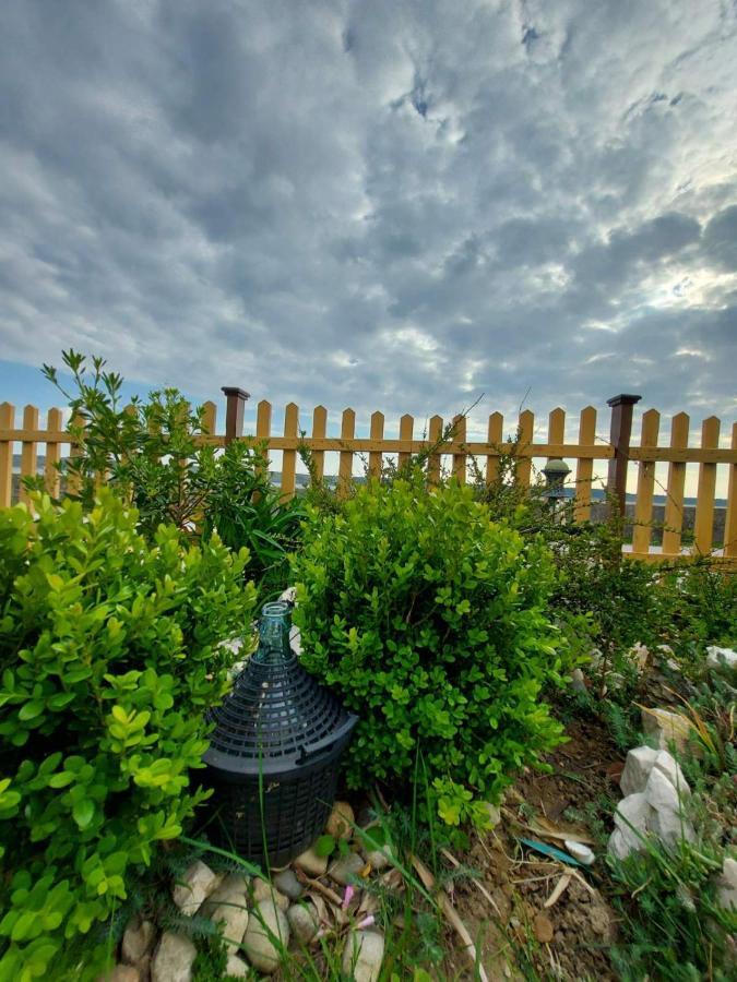 Apartmani Seaview Ljubač Exterior foto