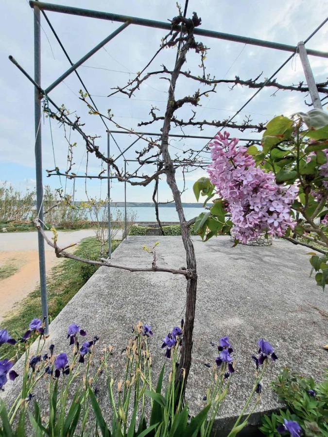 Apartmani Seaview Ljubač Exterior foto